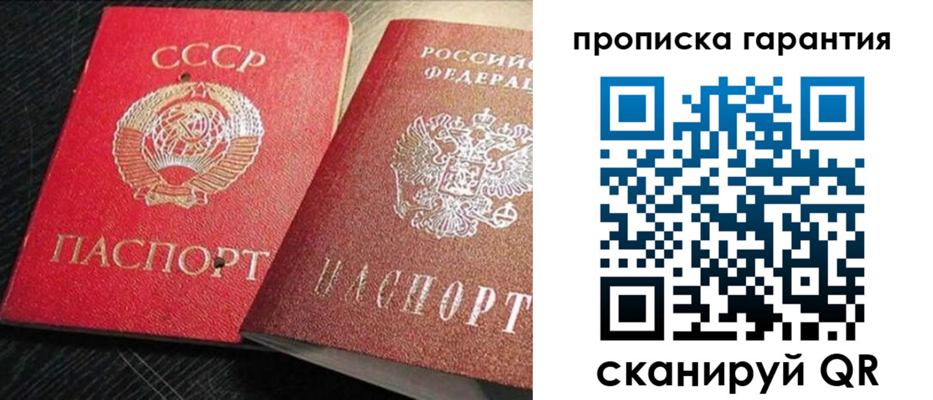 прописка 2025 в Купино